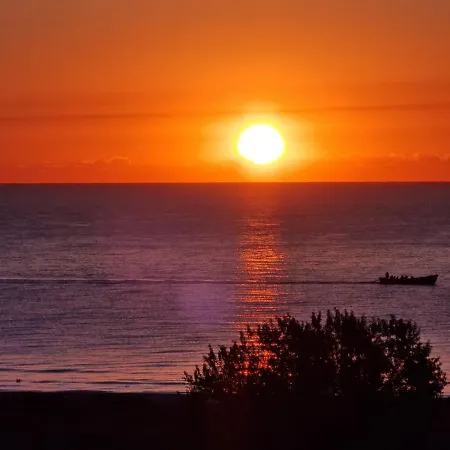 Sunscape